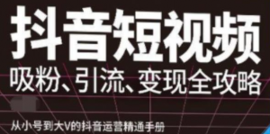 抖音视频号高级实操课程:从小号到大V的抖音运营精通手册(吸粉、引流、变现全攻略)-欢迎访问本站