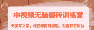 中视频搬砖玩法：纯视频剪辑搬运，无需写文案就能获取收益！-欢迎访问本站