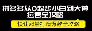 拼多多开店怎么运营：拼多多小白到大神运营全攻略，快速起量打造10W+爆款-欢迎访问本站
