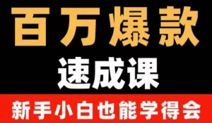 自媒体爆款指南:用数据思维做爆款,小白也能从0-1打造百万播放视频-欢迎访问本站