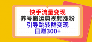 快手流量变现绝密教程,引导跳转群变现日赚300+-欢迎访问本站